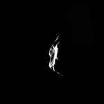 Фото: Rosetta прощается с астероидом Лютеция